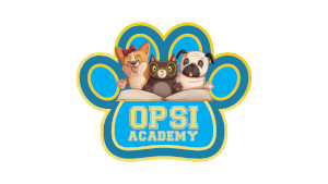 OPSI Academy